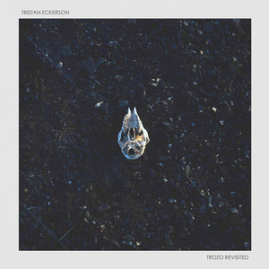 免费观看男男性高视频
